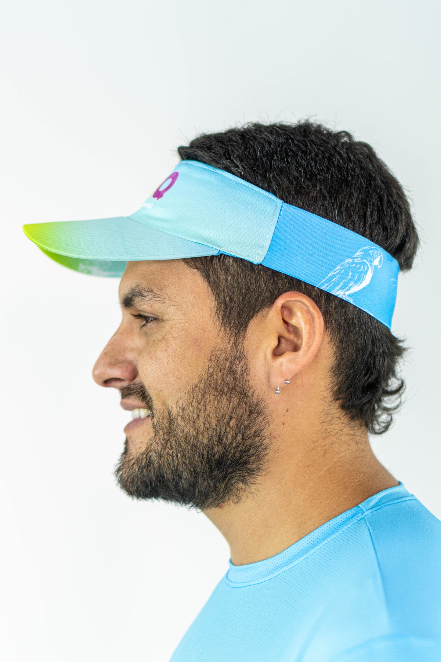 VISERA VERDE VERSION 2024