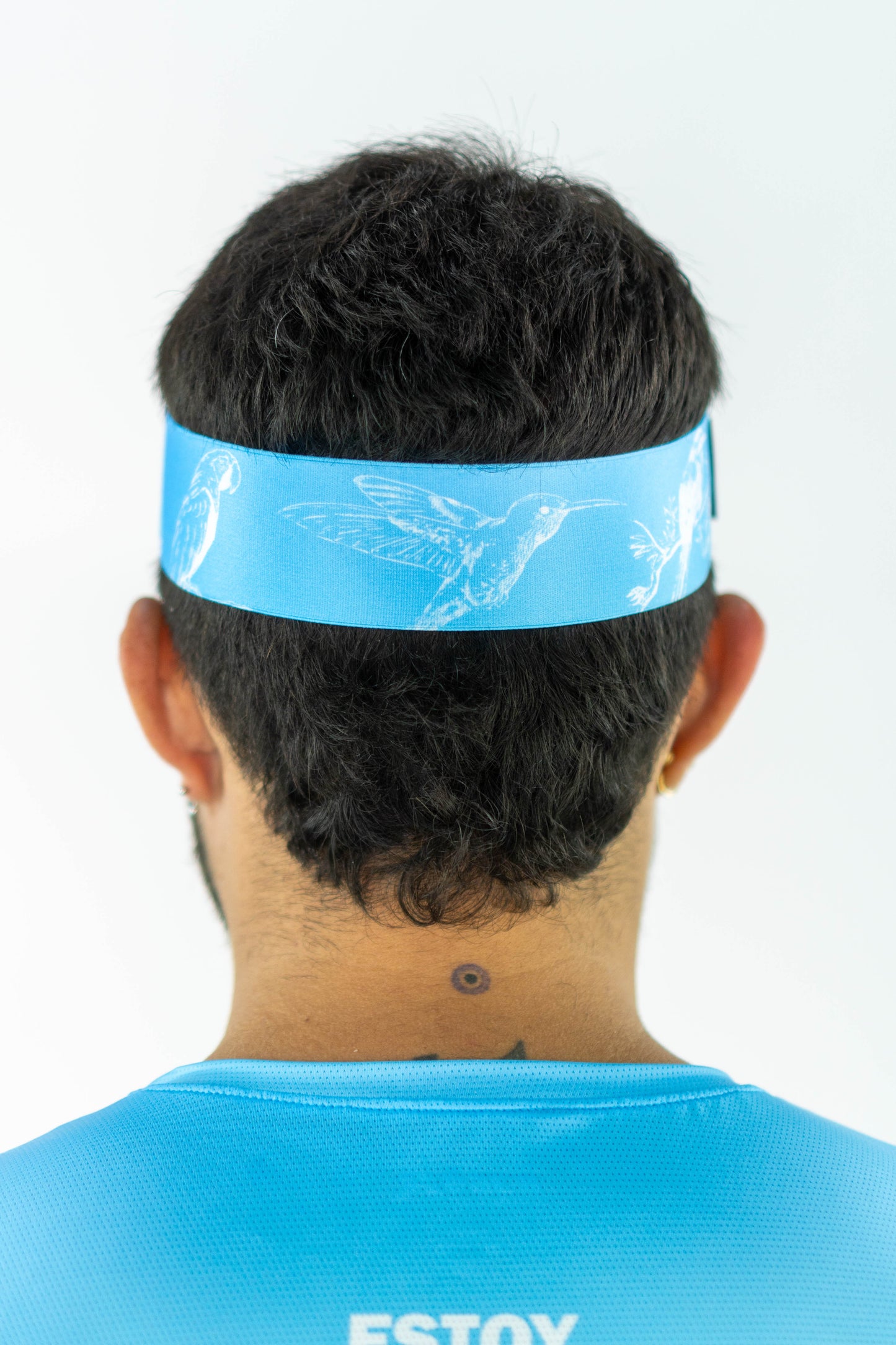 VISERA VERDE VERSION 2024