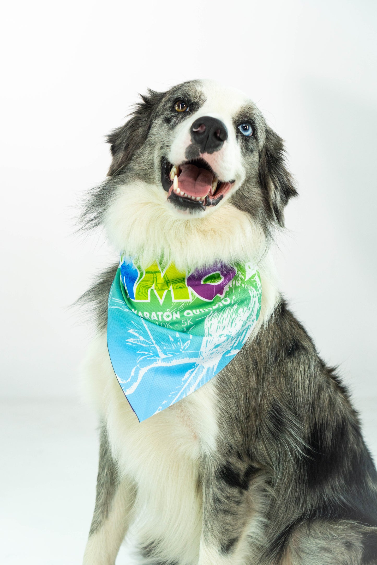 PAÑOLETA PERRO VERDE