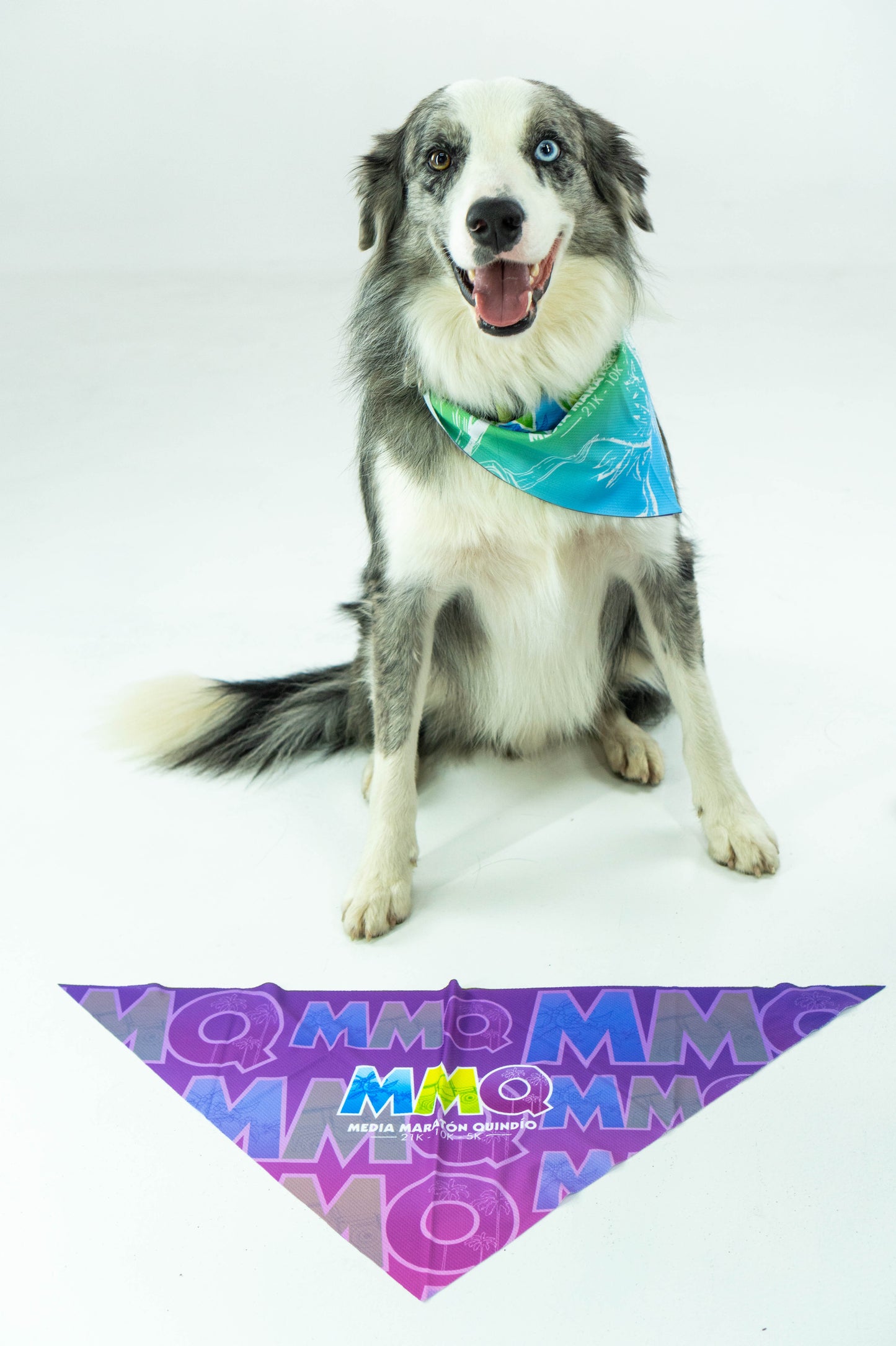 PAÑOLETA PERRO VERDE