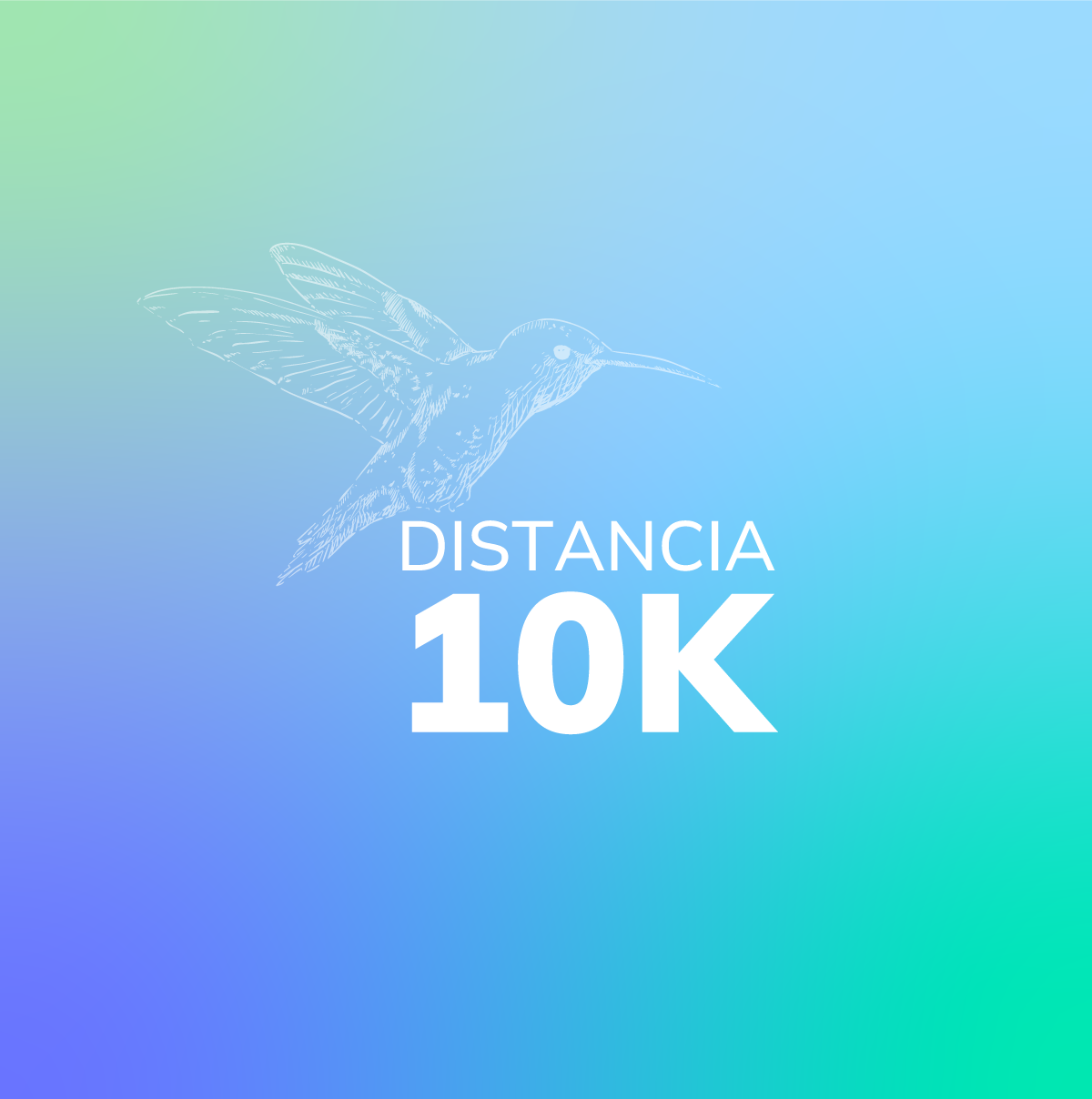 Media Maratón Quindío Distancia 10k