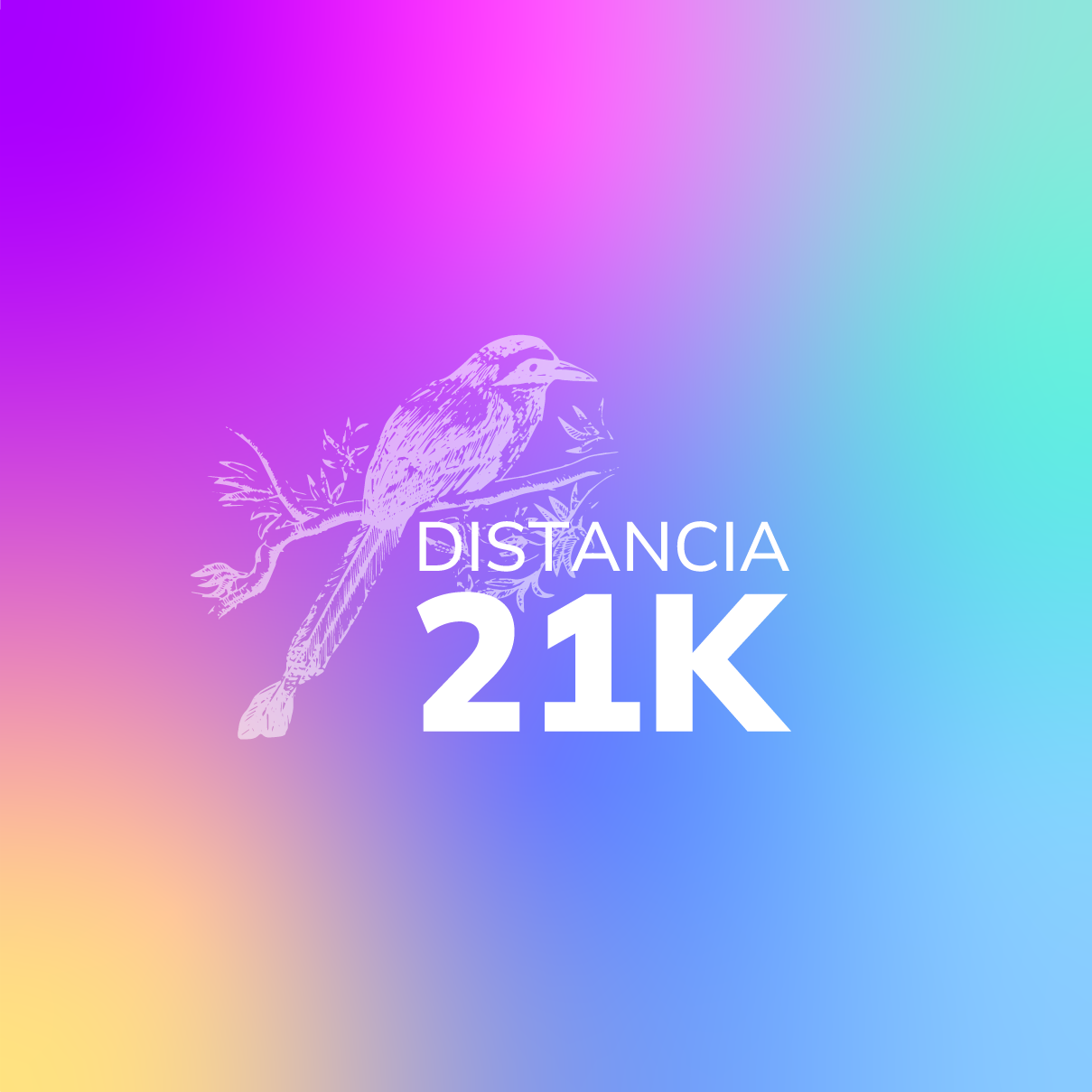 Media Maratón Quindío Distancia 21k