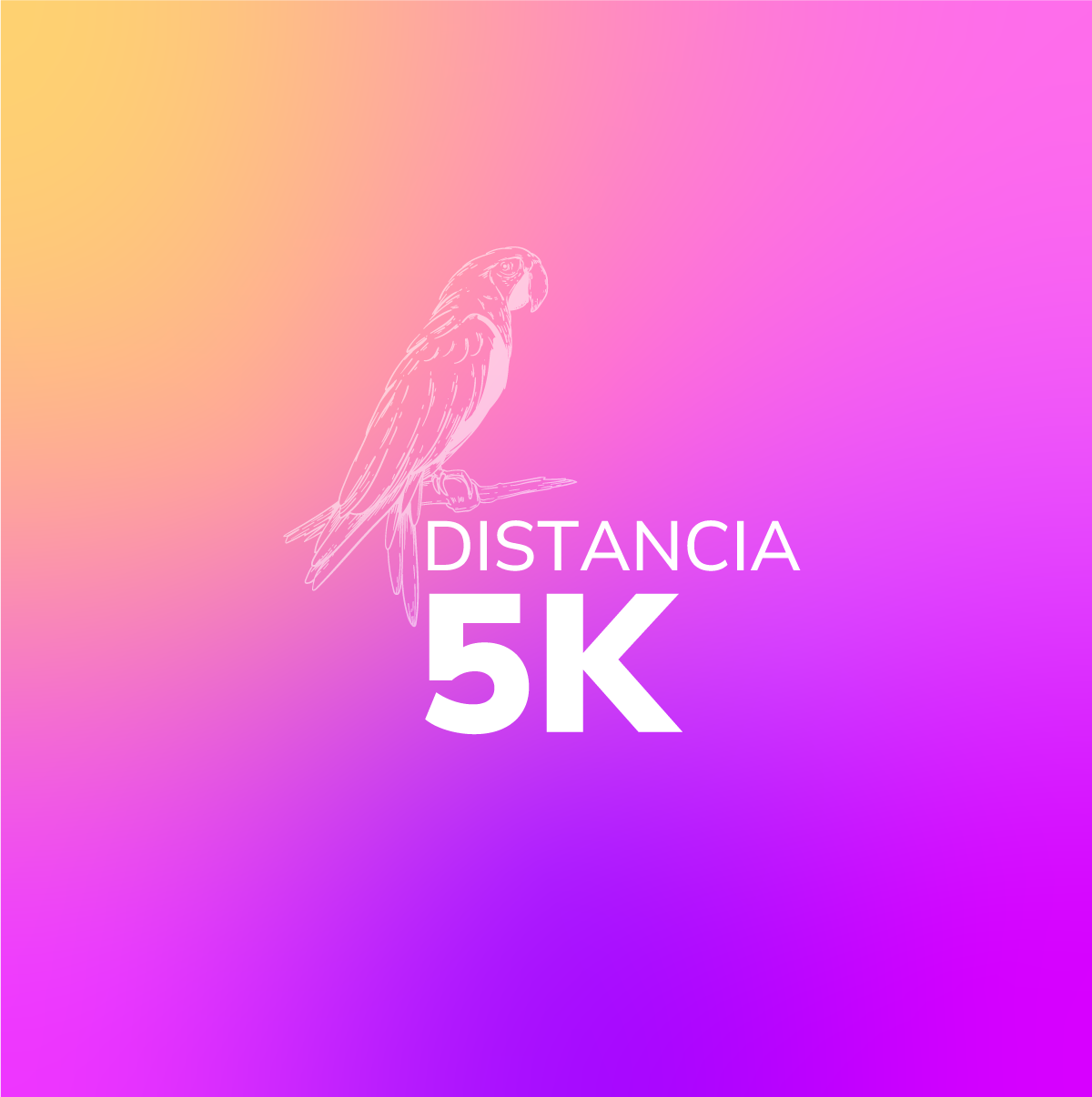 Media Maratón Quindío Distancia 5k