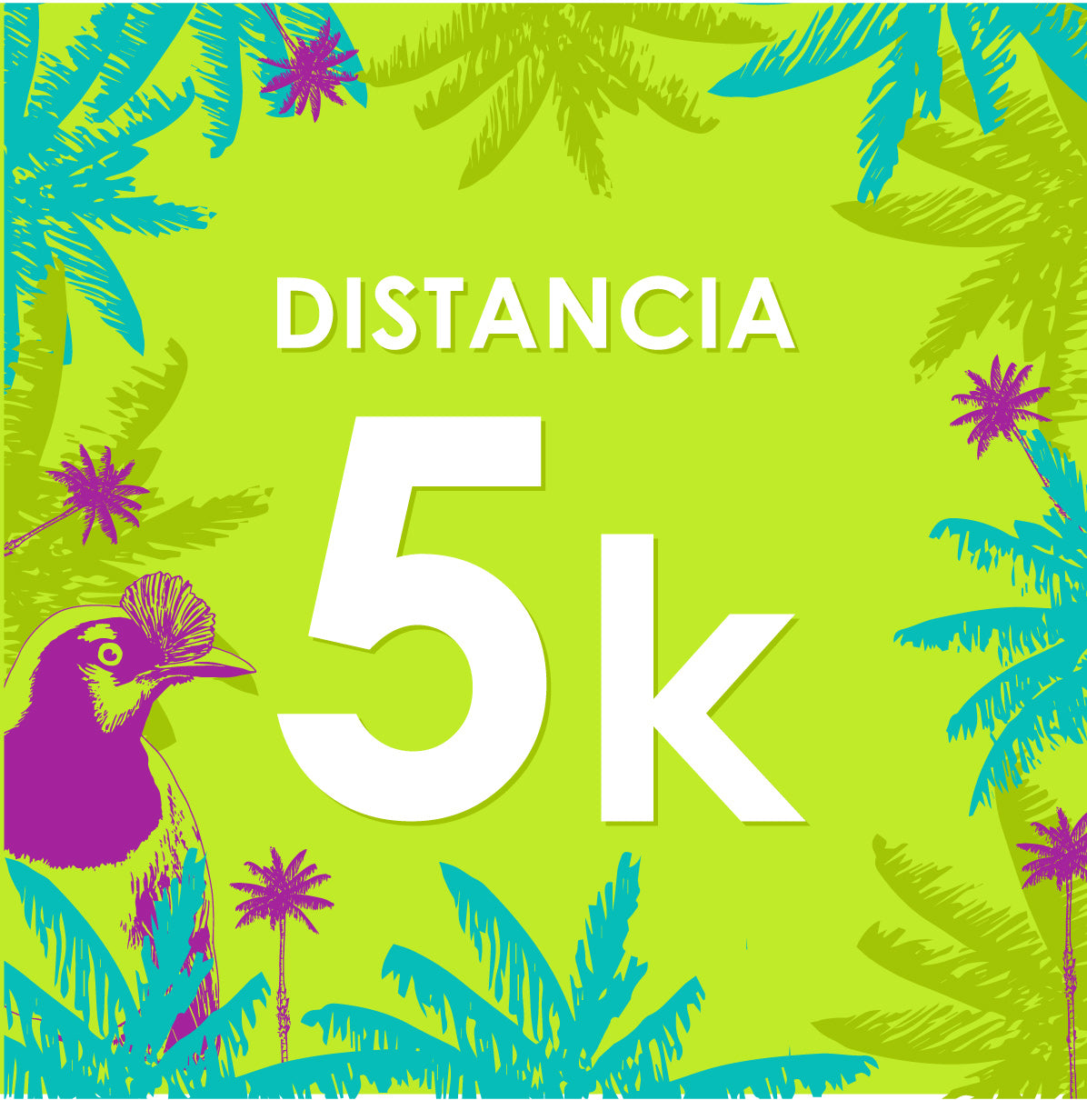 MMQ Distancia 5k