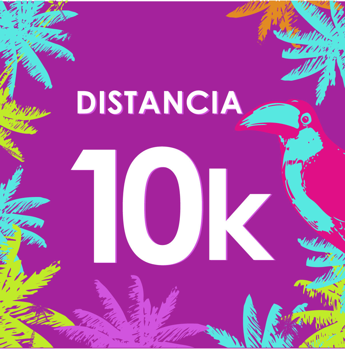 MMQ Distancia 10k