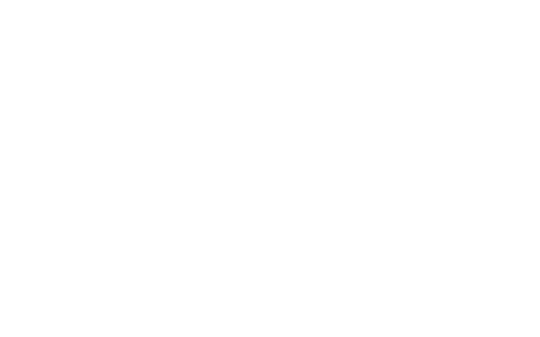 Electrolife