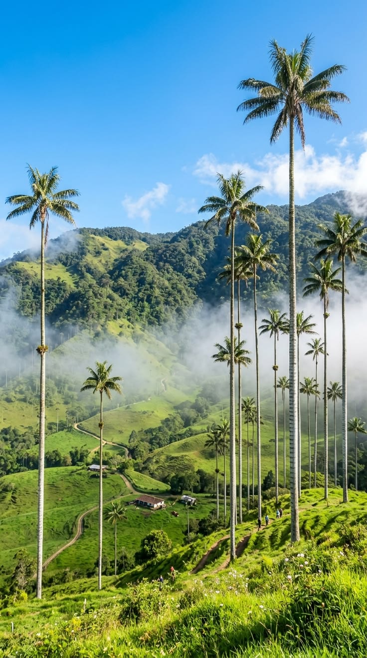 Turismo en el Quindío